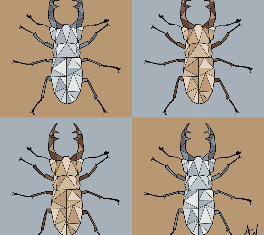 Geometric drawing of brown and grey bugs